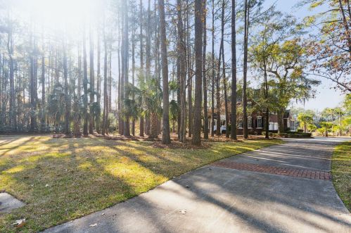 3004 Pignatelli Cres, Mount Pleasant SC  29466-8009 exterior