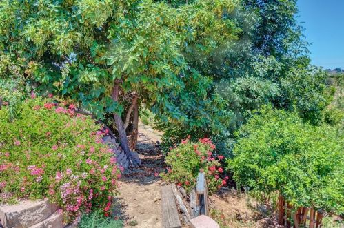 1050 Avocado Crst Rd, La Habra CA 90631-8108 exterior