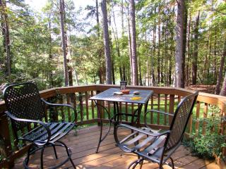 7301 Chicora Ct, Raleigh NC  27615-6005 exterior