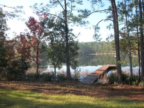 111 Palmetto Rd, Georgetown, FL 32139-2513
