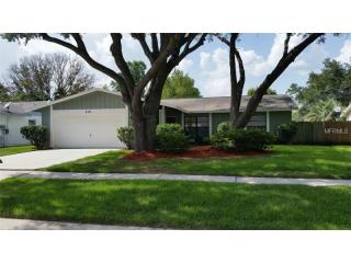516 Bryan Valley Ct, Brandon, FL 33511-7568