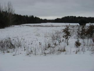 2347 Dubay Dr, Peplin WI  54455-9367 exterior