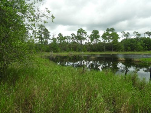 31515 Division St, Deland, FL 32720-6263