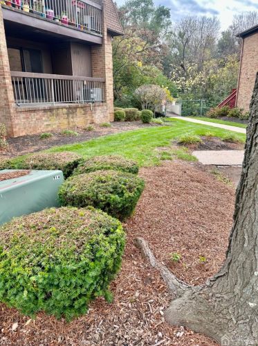 812 Sharon Garden Ct, Woodbridge, NJ 07095-4334