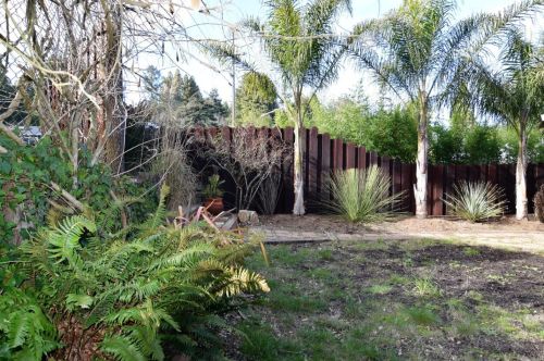 176 San Lorenzo Ave, Felton CA  95018-9232 exterior