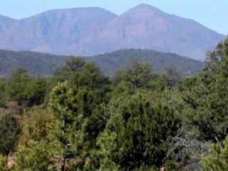 1409 Graham Ranch Trl, Payson, AZ 85541-4101