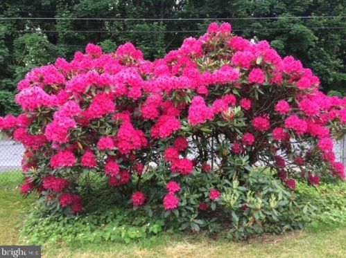 848 Davis Ave, Primrose PA 17901-1514 exterior