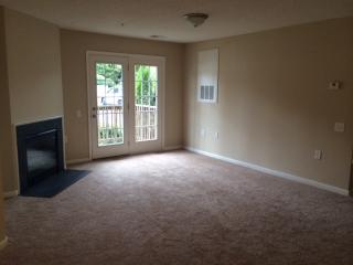 315 Flint Hill Rd, Fort Mill SC  29715-8729 exterior