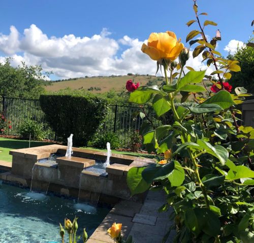 1000 Souza Dr, Folsom CA  95762-7550 exterior