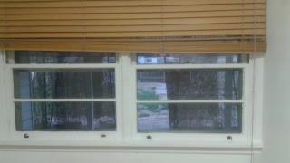 4745 Newton St, Denver CO  80211-1160 exterior