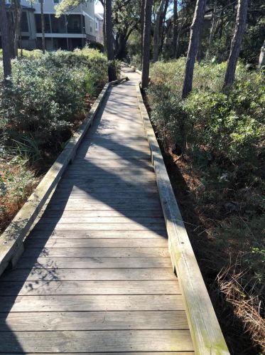 116 Slipper Shell Ct, Mount Pleasant SC  29464-6724 exterior