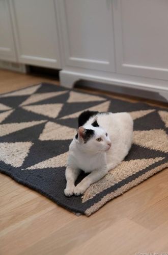 20 Hidden Brook Dr, Brookfield Center CT  06804-1306 exterior