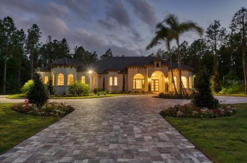 15606 Pendio Dr, Montverde, FL 34756
