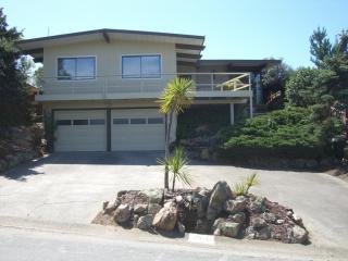 2511 Carmelita Ave, Belmont, CA 94002-1529