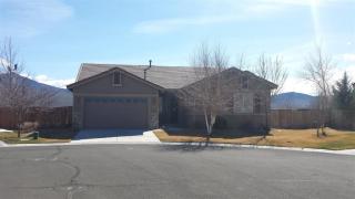 309 Lahinch Ct, Dayton, NV 89403-8780