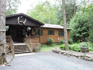 113 Fiddlers Ct, Cresco, PA 18326-7777