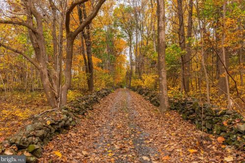 73 Rock Ridge Rd, Upper Black Eddy, PA 18972-9518