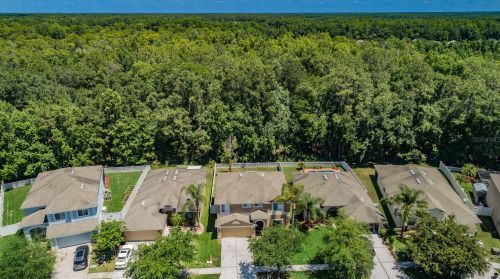 4803 Barchetta Dr, Land O Lakes, FL 34639-9597