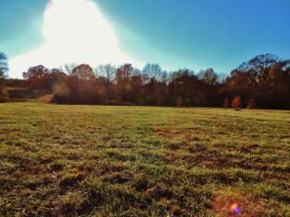 3415 Highway 196, Piperton, TN 38017-5225