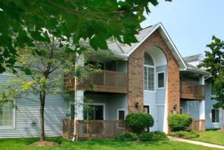 16323 Chatman Dr, Cleveland OH  44149-9049 exterior