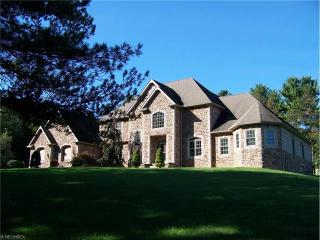 8560 River Styx Rd, Wadsworth, OH 44281-9529