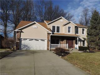 1045 Woodland Chase, North Eaton, OH 44044-1263