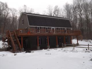 100 Barkley Ln, West Hebron, NY 12865-4002