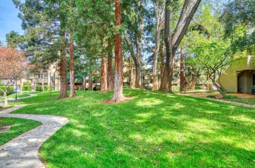 5698 Makati Cir, San Jose CA  95123-6203 exterior