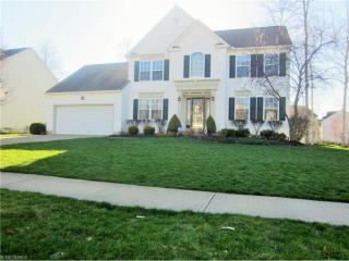 1249 Dover Dr, Medina, OH 44256-4088