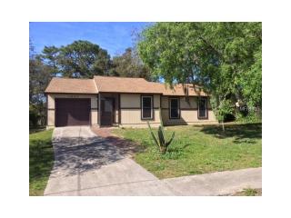 1207 Oakwood St, Tarpon Springs FL  34689-5533 exterior