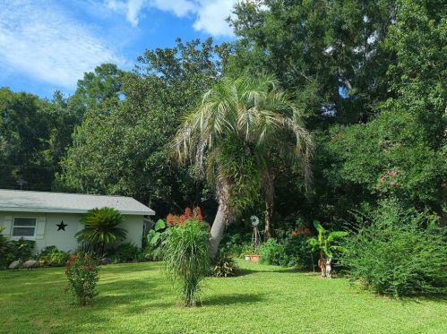 1105 45th Pl, Ocala, FL 34479-1923
