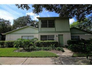 14740 Morning Dr, Lutz, FL 33559-3252