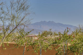 27023 143rd Pl, Scottsdale, AZ 85262-8086