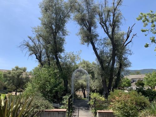 5625 Le Fevre Dr, San Jose CA  95118-3927 exterior
