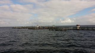 57 Broad St, Titusville, FL 32796-5803