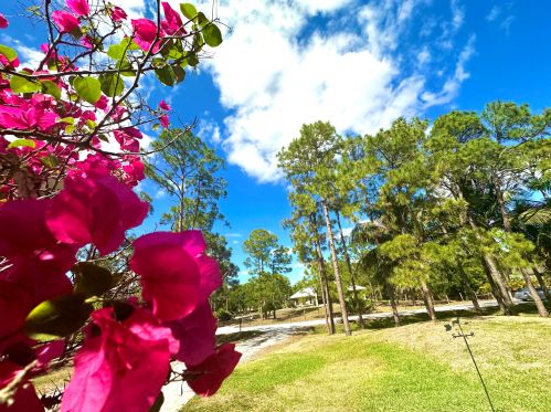 18180 42nd Rd, Town Of Loxahatchee Groves, FL 33470-2378