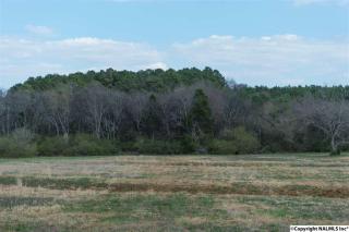 1703 Slaughter Rd, Madison AL  35758-8693 exterior