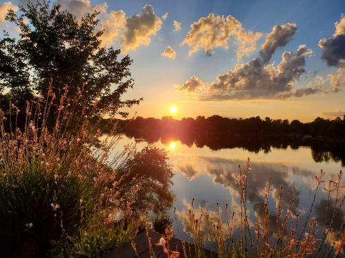 93 Rdg Lk Dr, Foreston SC 29102-4478 exterior