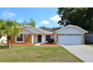 503 Rapid Falls Dr, Brandon, FL 33511-7549