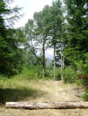 170 Timberline Dr, Packwood, WA 98361-9755