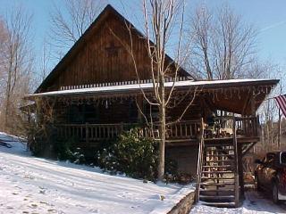 1247 Elkhorn Rd, Tioga, PA 16946-8762