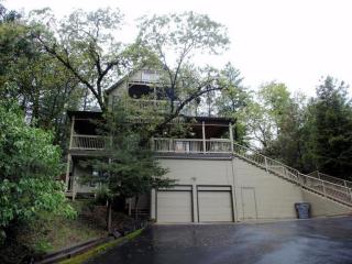 50 Tall Pines Ct, Applegate, CA 95703-9742