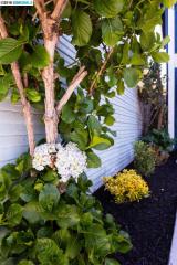 6320 Herzog St, Oakland, CA 94608-1220