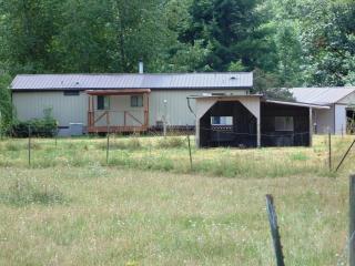 199 Hendrickson Rd, Vader, WA 98593-9730