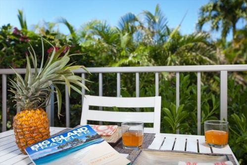 69-1647 Puako Beach Dr, Kamuela, HI 96743
