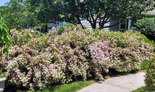 9 High Ridge Rd, Crotonville NY  10562-1969 exterior