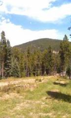 32656 Bert Dr, Conifer, CO 80433-9706