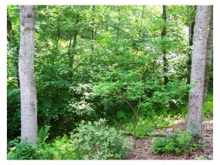 4090 Middle Urbana Rd, Urbana, OH 43078-8230