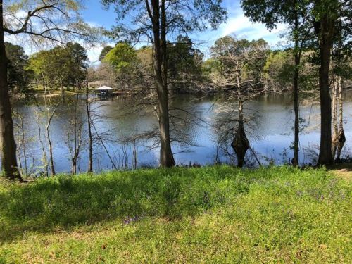327 Davis Lake Rd, Columbia Heights, LA 71418-4061
