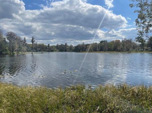 854 Lutz Lake Fern Rd, Lutz, FL 33548-5027